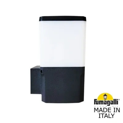 Светильник уличный настенный FUMAGALLI VIRGILIO APPLIQUE DS3.562.000.AYF1R — Fumagalli