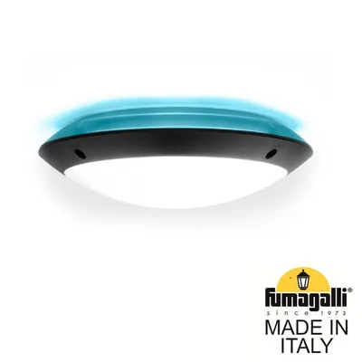 Уличное бра FUMAGALLI LUCIA BACKLIT 1R3.000.000.AYE27BU1 — Fumagalli