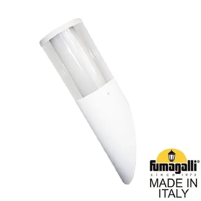 Светильник уличный настенный FUMAGALLI CARLO-FS DR1.571.000.WXU1L — Fumagalli